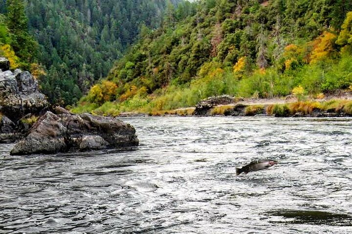 Expérience de pêche en eau vive et de rafting à Rogue River