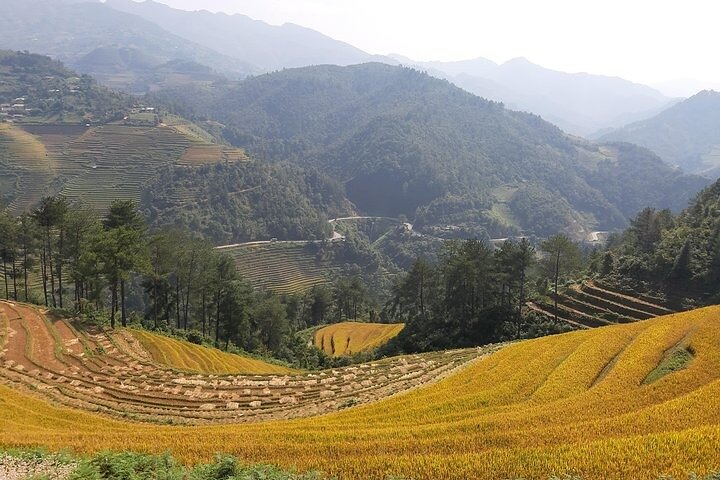Mu Cang Chai Rundfahrt mit Ortskundiger Reiseleiter & Bienenwachsmalerei