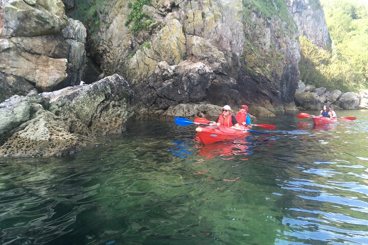 Safari en kayak de fauna, cuevas marinas y arbustos en Riviera Inglés