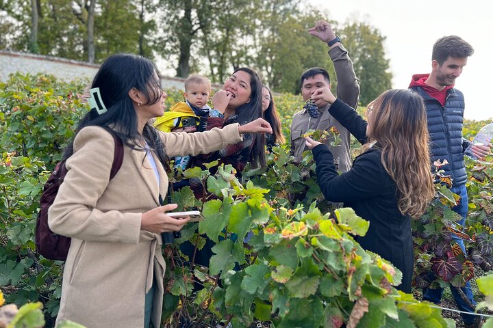 Bubble Champagne Tour vanuit Epernay (tour van een halve dag met kleine groepen)