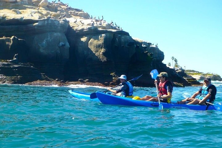 Tour in kayak delle grotte marine di La Jolla (kayak singolo)