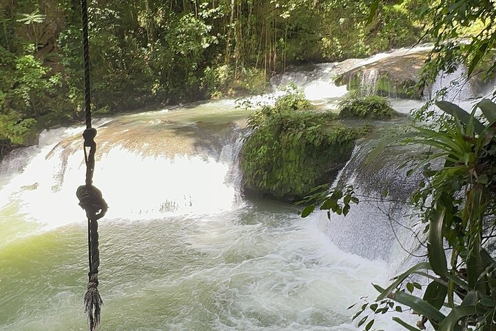 Jamaika: YS Falls, Black River Safari, Pelican Bar Privatbesichtigung