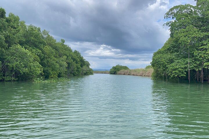 Jamaika: YS Falls, Black River Safari, Pelican Bar Privatbesichtigung