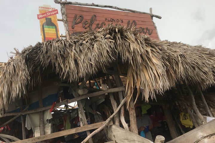 Jamaika: YS Falls, Black River Safari, Pelican Bar Privatbesichtigung