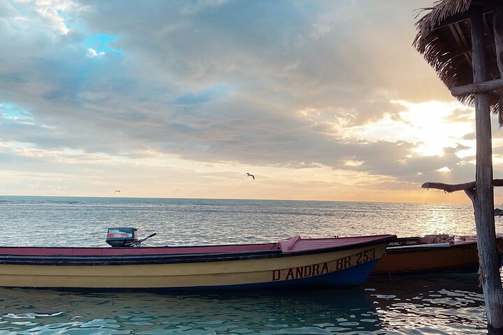 Jamaika: YS Falls, Black River Safari, Pelican Bar Privatbesichtigung