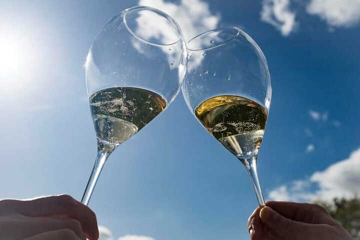 Must-see 3h30 fra Epernay (Privat halvdags Champagne Tour)