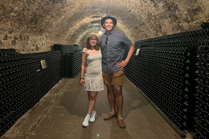 Experiencia Gold Champagne desde Epernay (tour privado de día completo)