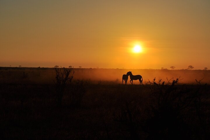 NUIT DE SAFARI AU PARC NATIONAL DE TSAVO EAST DEPUIS MOMBASA orDIANI