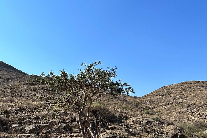 Upptäck Västra Salalah och simma ( Karibiska Orienten) Fazayeh Beach