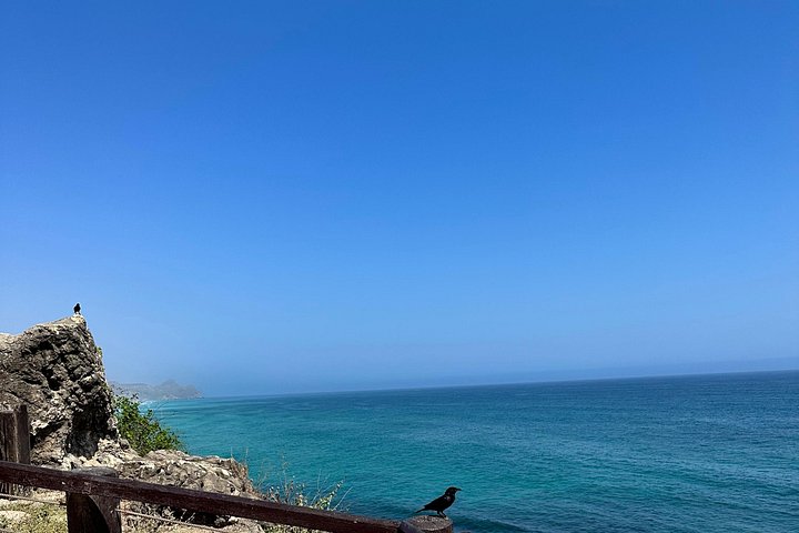 Upptäck Västra Salalah och simma ( Karibiska Orienten) Fazayeh Beach