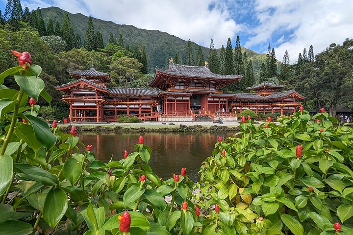 Oahu : Excursion d'une journée complète ou d'une demi-journée sur l'île du Grand Cercle
