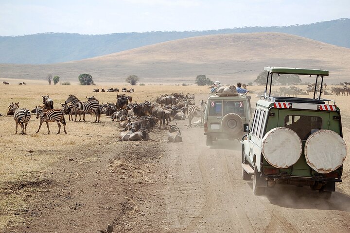 1-Day Shared Safari to Nyerere NP from Zanzibar