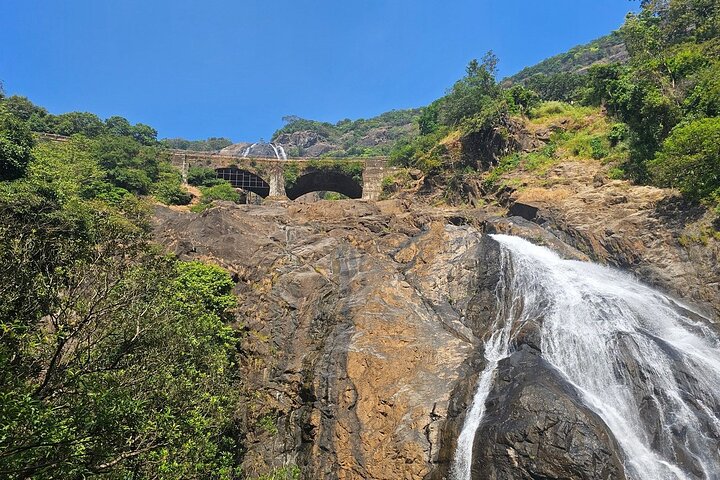Tour privato delle cascate di Dudhsagar, del Jeep Safari e della piantagione di spezie