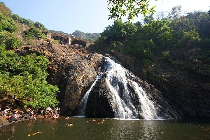Tour privato delle cascate di Dudhsagar, del Jeep Safari e della piantagione di spezie