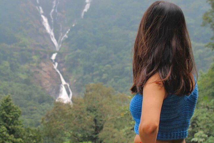 Tour privato delle cascate di Dudhsagar, del Jeep Safari e della piantagione di spezie