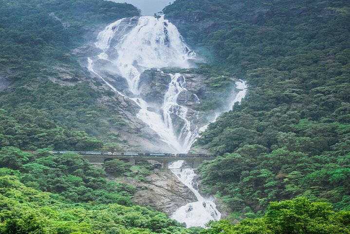 Tour privato delle cascate di Dudhsagar, del Jeep Safari e della piantagione di spezie