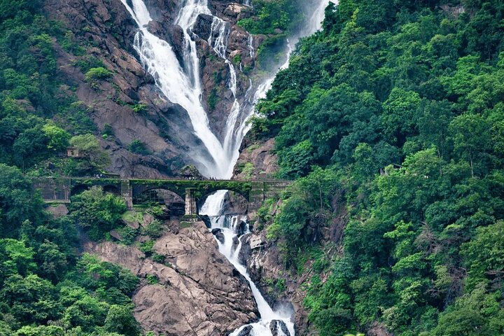 Tour privato delle cascate di Dudhsagar, del Jeep Safari e della piantagione di spezie