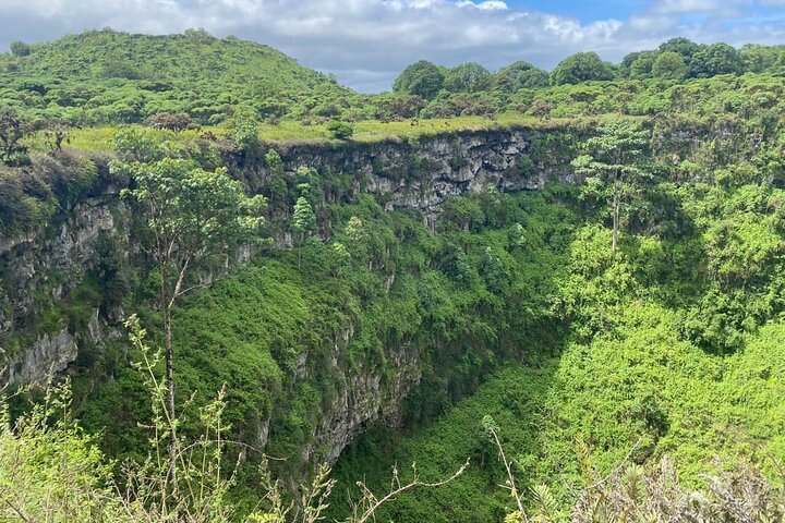 Tour Giant Tortoises, Lava Tunnels & Stop at Los Gemelos Craters”