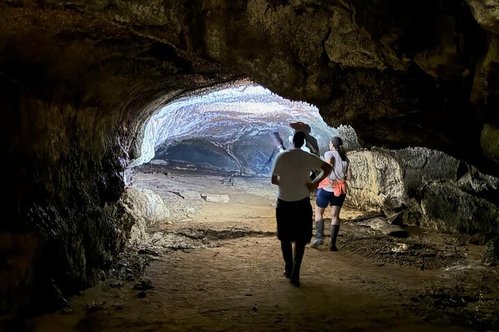 Tour Giant Tortoises, Lava Tunnels & Stop at Los Gemelos Craters”