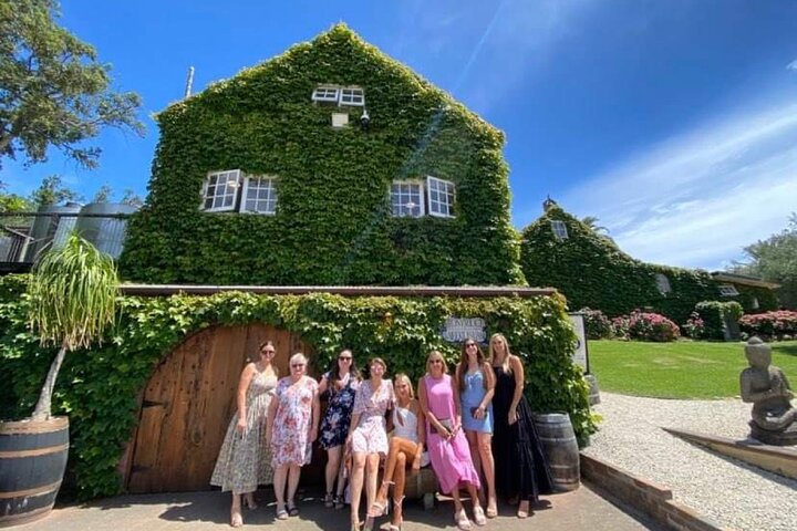 Auckland : Waiheke Island Scenic Tour 4 vingårder, lokale guider