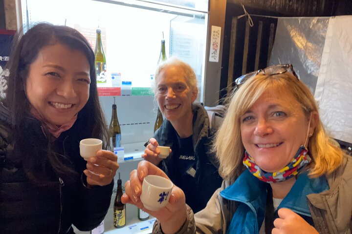 Takayama aangepaste halve dag tour met gelicentieerde lokale Gids