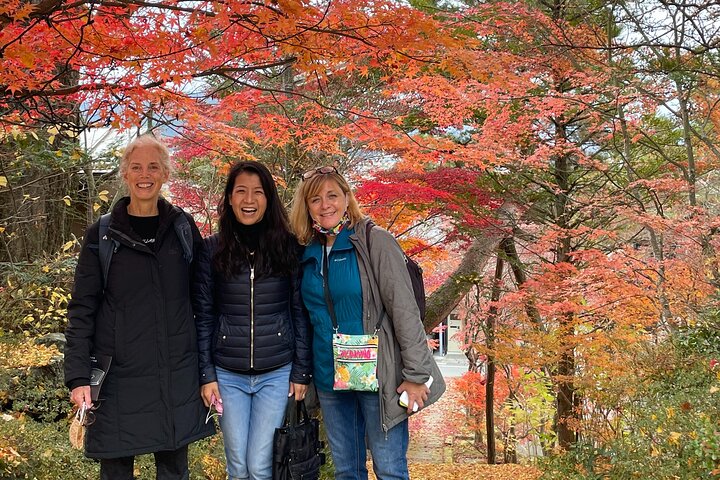 Takayama aangepaste halve dag tour met gelicentieerde lokale Gids