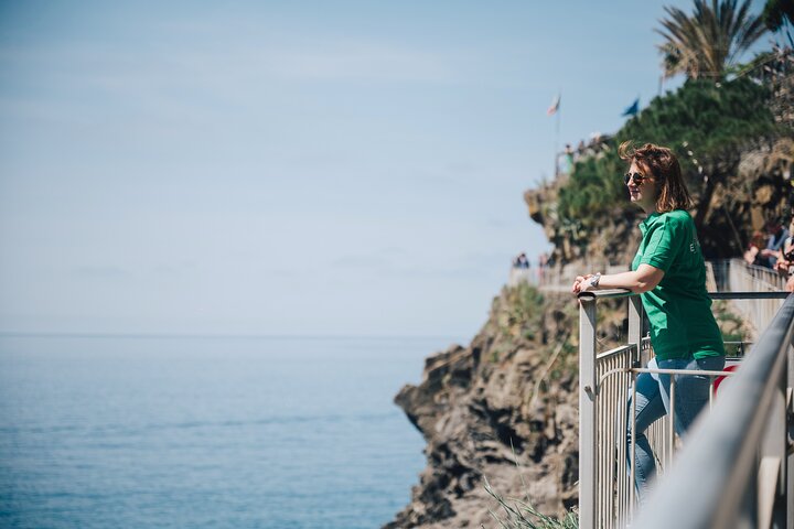Tour di un giorno delle Cinque Terre in treno da La Spezia