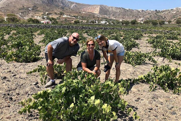 Santorini Weinabenteuer mit 12 Weinproben, Tapas und Sonnenuntergang