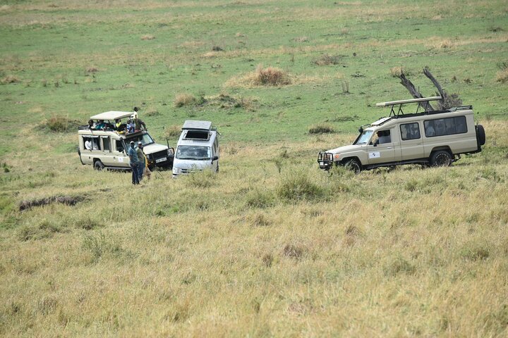 Tour privato di safari in game drive nel Maasai Mara