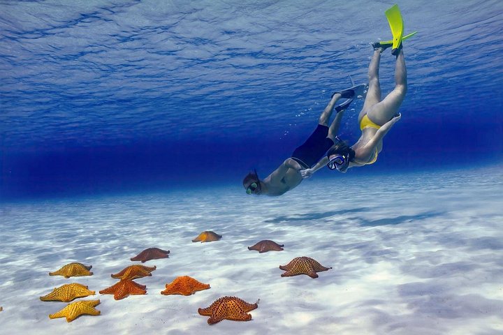 El Cielo Cozumel Snorkel Private Boat + Food + Drinks + Beach