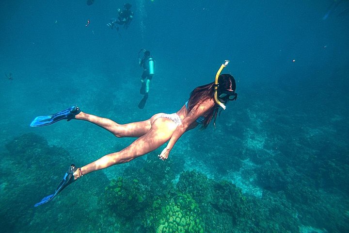 El Cielo Cozumel Snorkel Private Boat + Food + Drinks + Beach