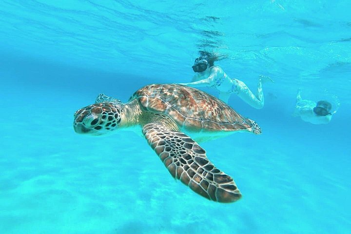 El Cielo Cozumel Snorkel Private Boat + Food + Drinks + Beach