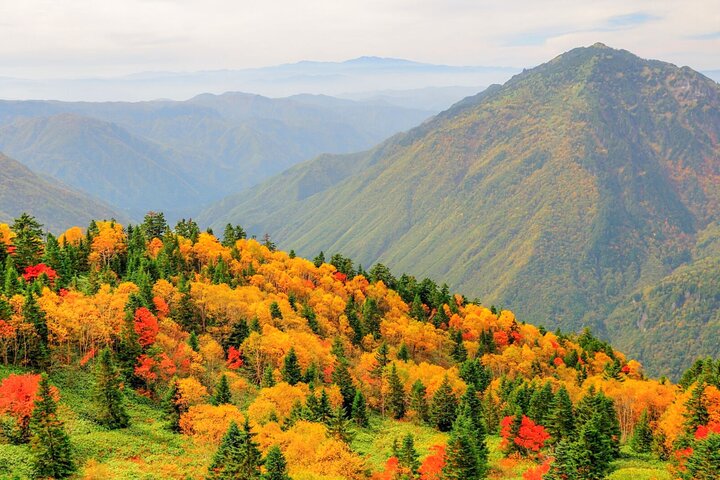 De Takayama: Esplendor Alpino - Teleférico Shinhotaka e Kamikochi