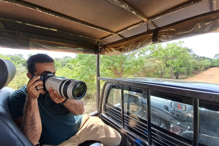 Wilpattu National Park Guidad tur i en Safari Jeep Ride