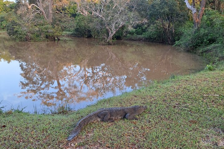 Wilpattu National Park Guidad tur i en Safari Jeep Ride