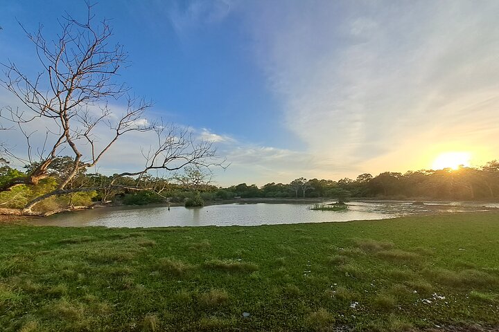 Wilpattu National Park Guidad tur i en Safari Jeep Ride