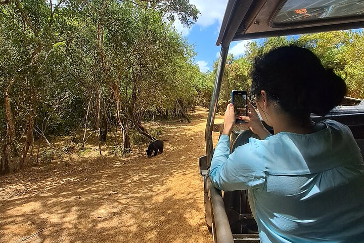 Wilpattu National Park Guidad tur i en Safari Jeep Ride