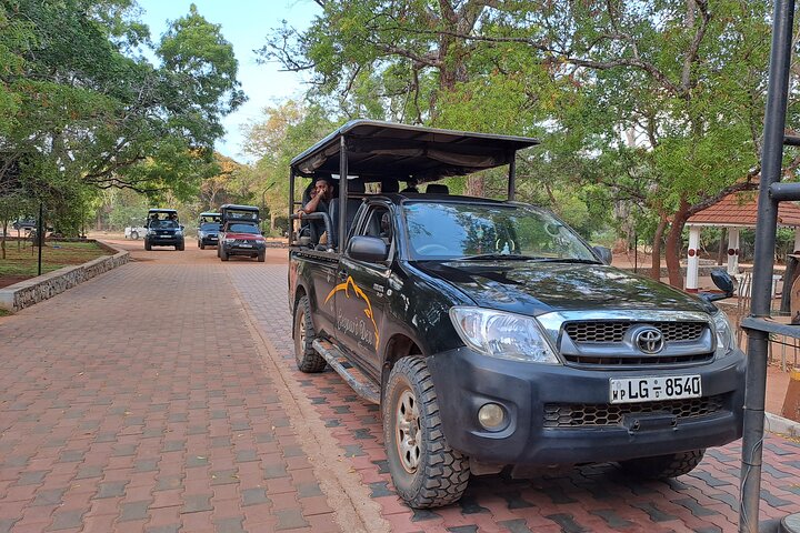 Wilpattu National Park Guidad tur i en Safari Jeep Ride