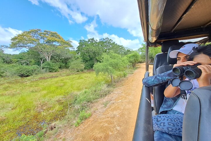 Wilpattu National Park Guidad tur i en Safari Jeep Ride