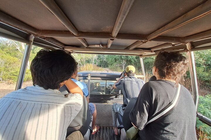 Wilpattu National Park Guidad tur i en Safari Jeep Ride