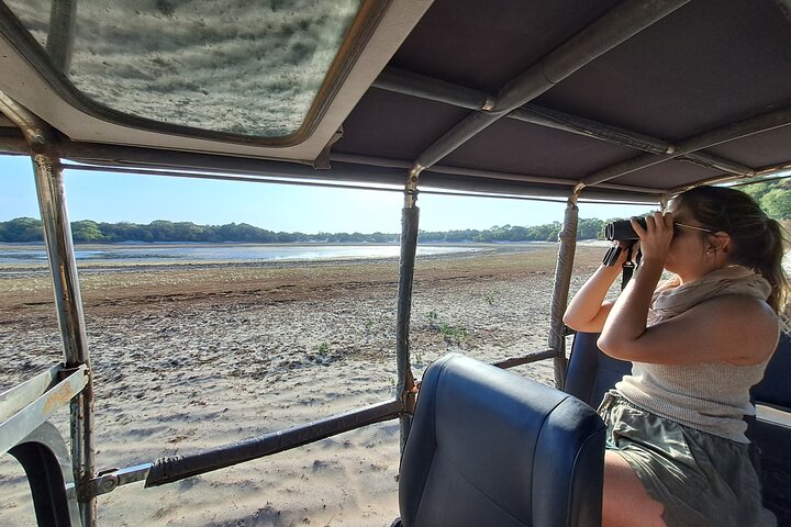 Wilpattu National Park Guidad tur i en Safari Jeep Ride