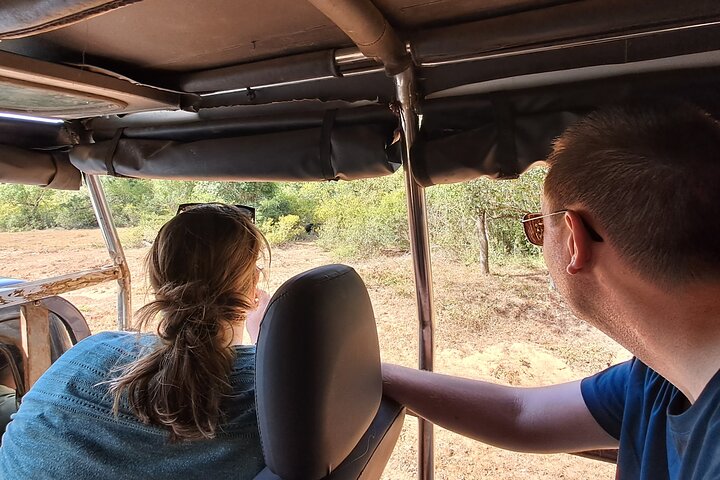 Wilpattu National Park Guidad tur i en Safari Jeep Ride