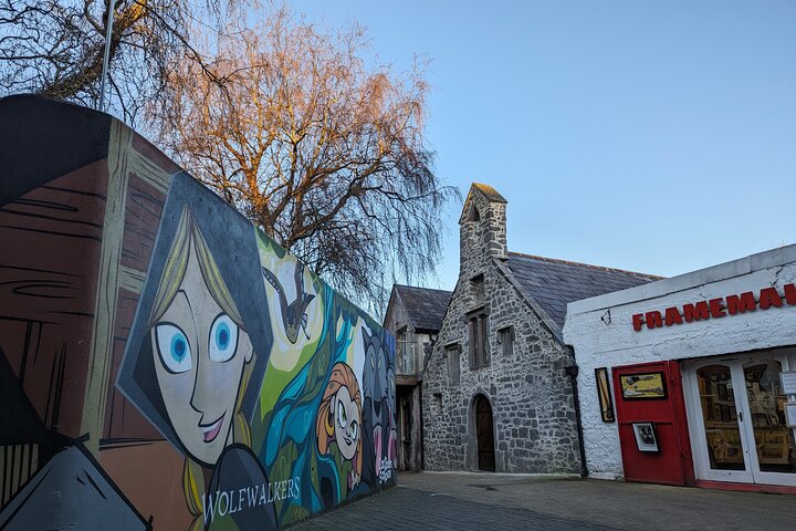 Tour a pie por Kilkenny con un guía local nacido en Kilkenny