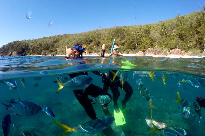 Tour di navigazione, SUP e snorkeling nelle Isole Whitsunday - Bassa affluenza