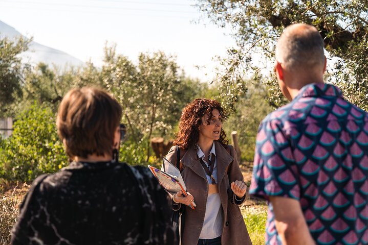 Ekologisk Olive Grove tur & Olivoljeprovning & lunch i Kalamata!