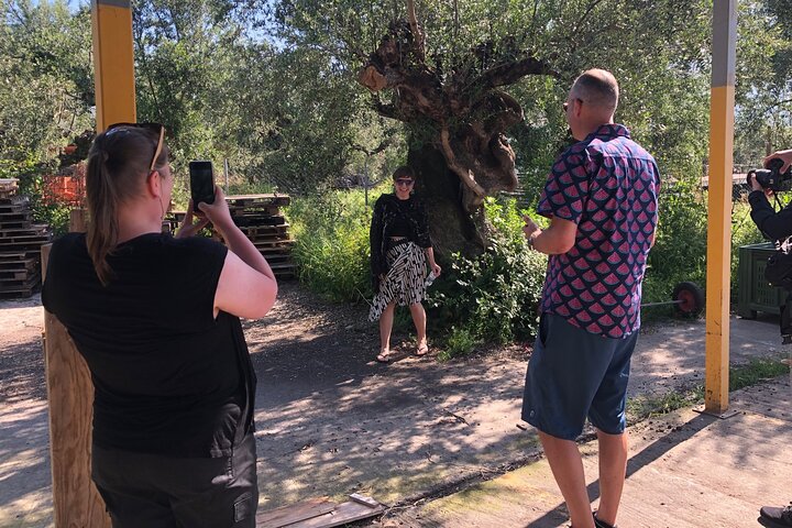 Ekologisk Olive Grove tur & Olivoljeprovning & lunch i Kalamata!