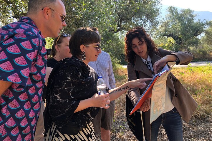 Ekologisk Olive Grove tur & Olivoljeprovning & lunch i Kalamata!
