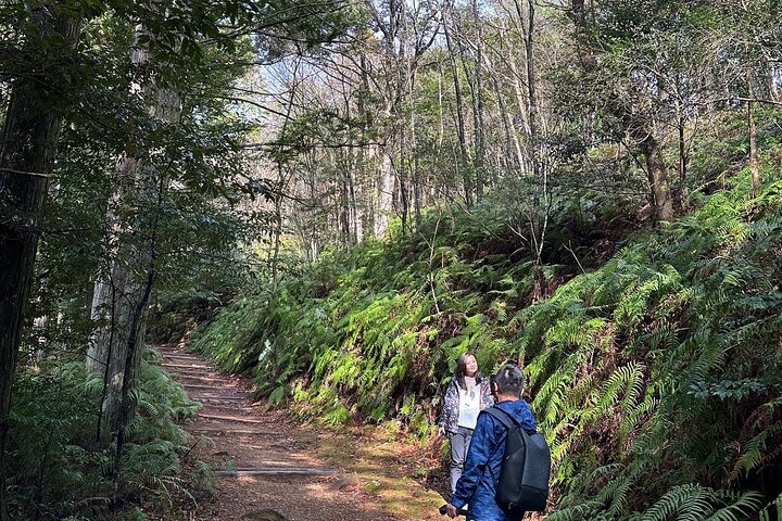Kumano Kodo pilgrimsvandring i 1 dag med Vejleder