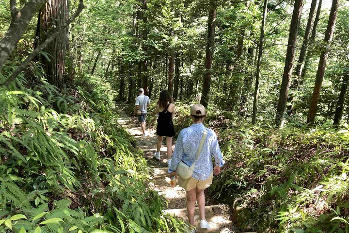 Kumano Kodo pilgrimsvandring i 1 dag med Vejleder