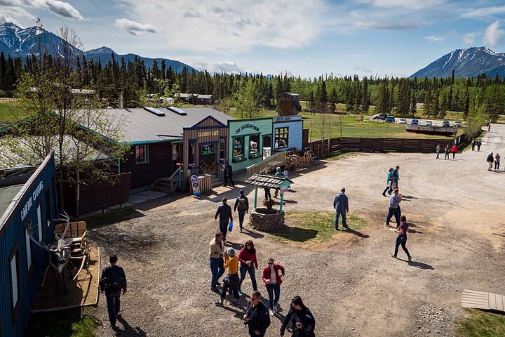 Wild Adventure Yukon Tour till Kanada inklusive City och Summit